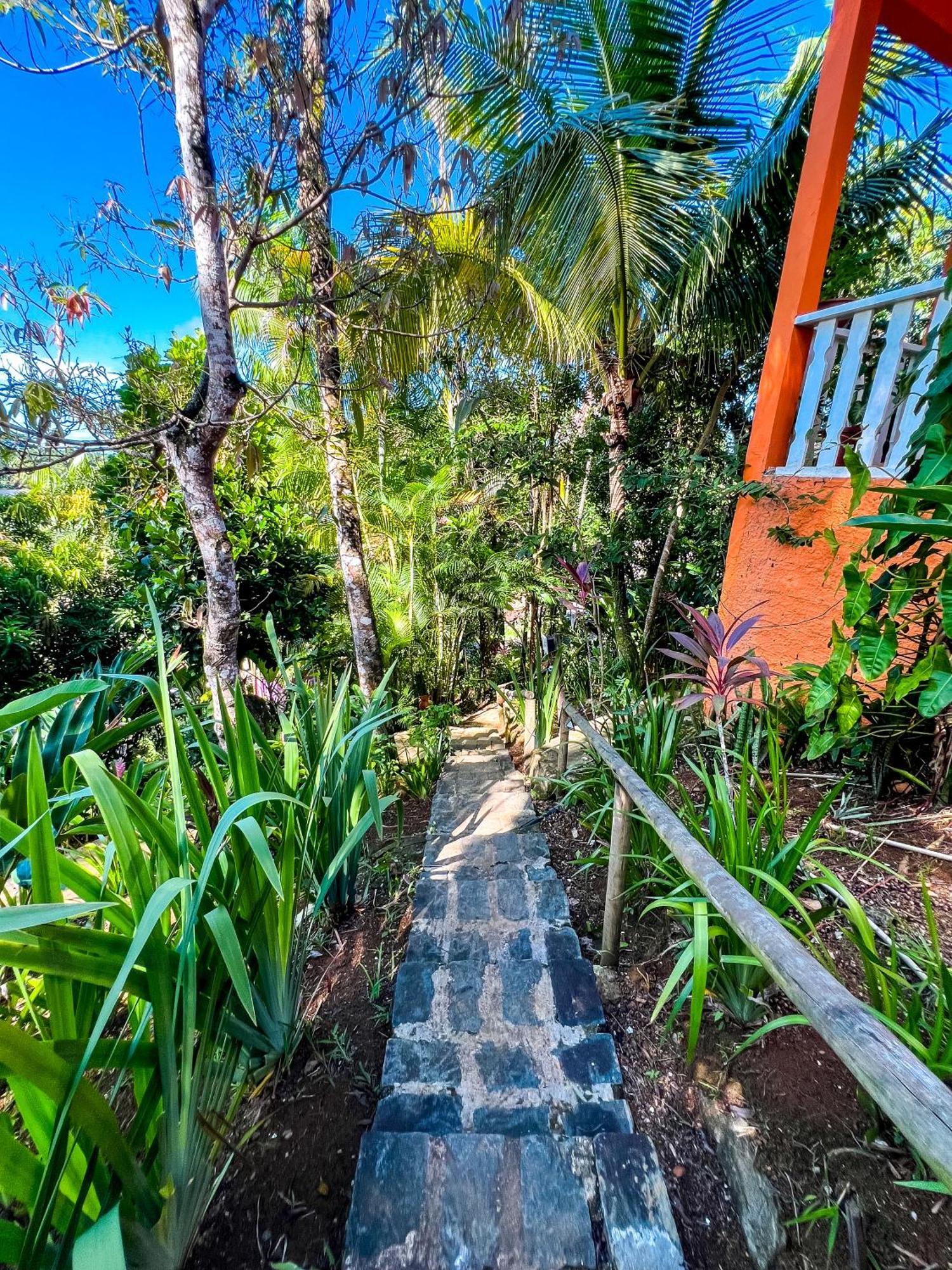 Hostel Zen - Casa Na Floresta Itacare Exterior photo